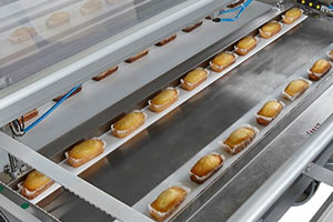 آشنايي با خط تولید بیسکویت،دونات و کیک و کلوچه 