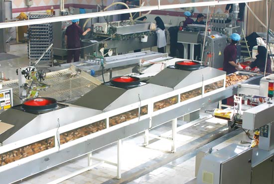 رکورد تولید کیک های چلسی به بیش از 30000 کارتن در روز