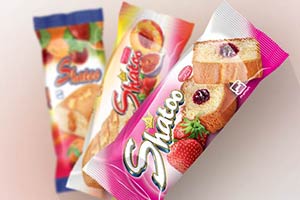 کیک مغزدار میوه ای شاتو